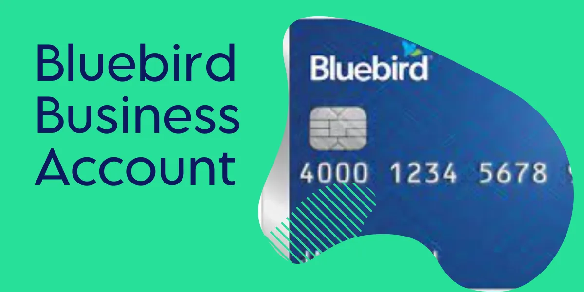 Bluebird Business Account