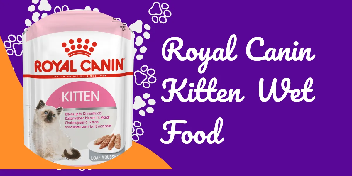 Royal Canin Kitten Wet Food