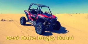 Best Dune Buggy Dubai