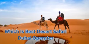 Which Is Best Desert Safari Dubai Operator (1)