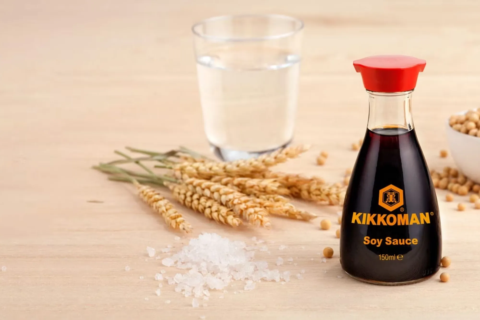 Soy Sauce Manufacturer in Benin How It Works