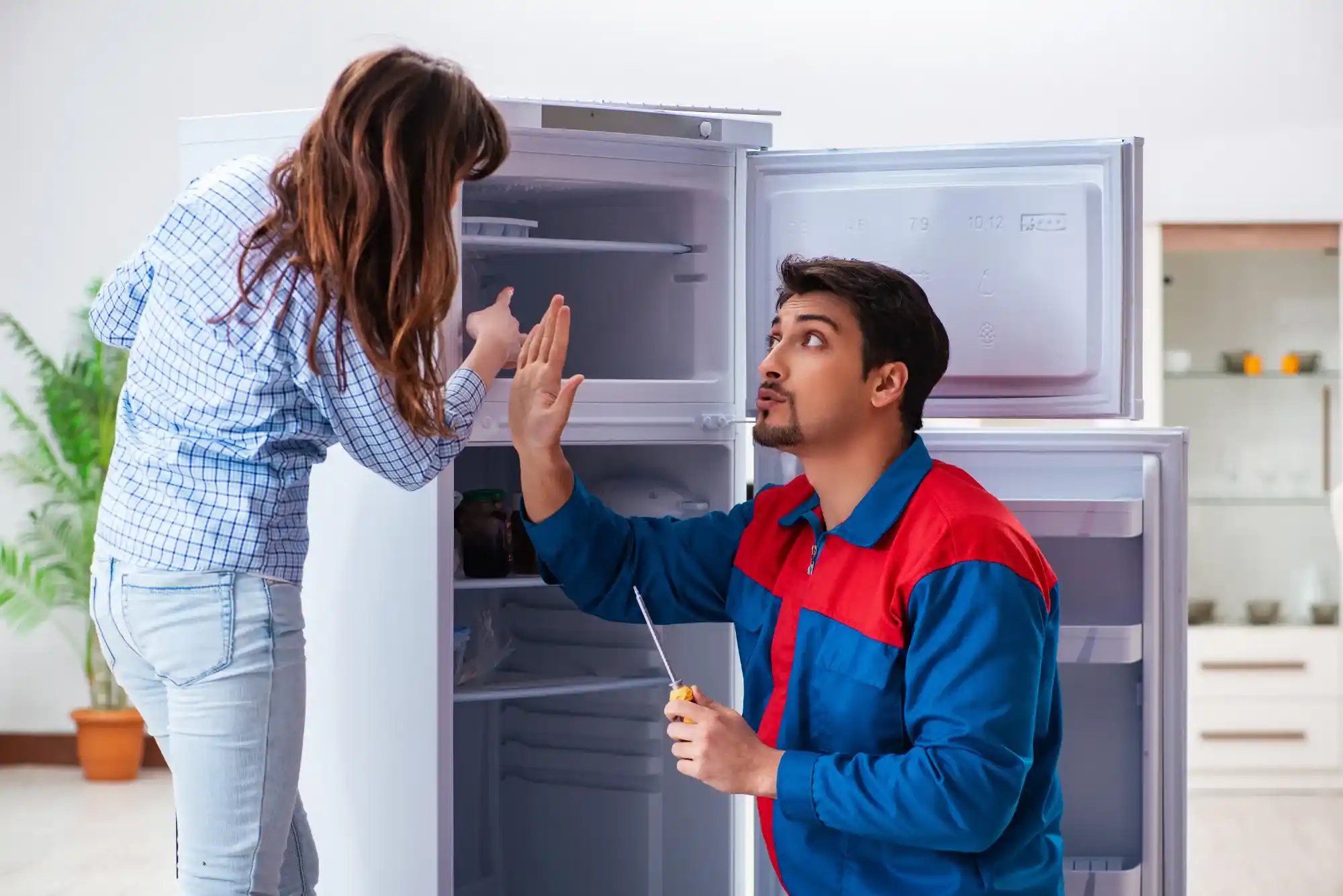 Fridge Repair