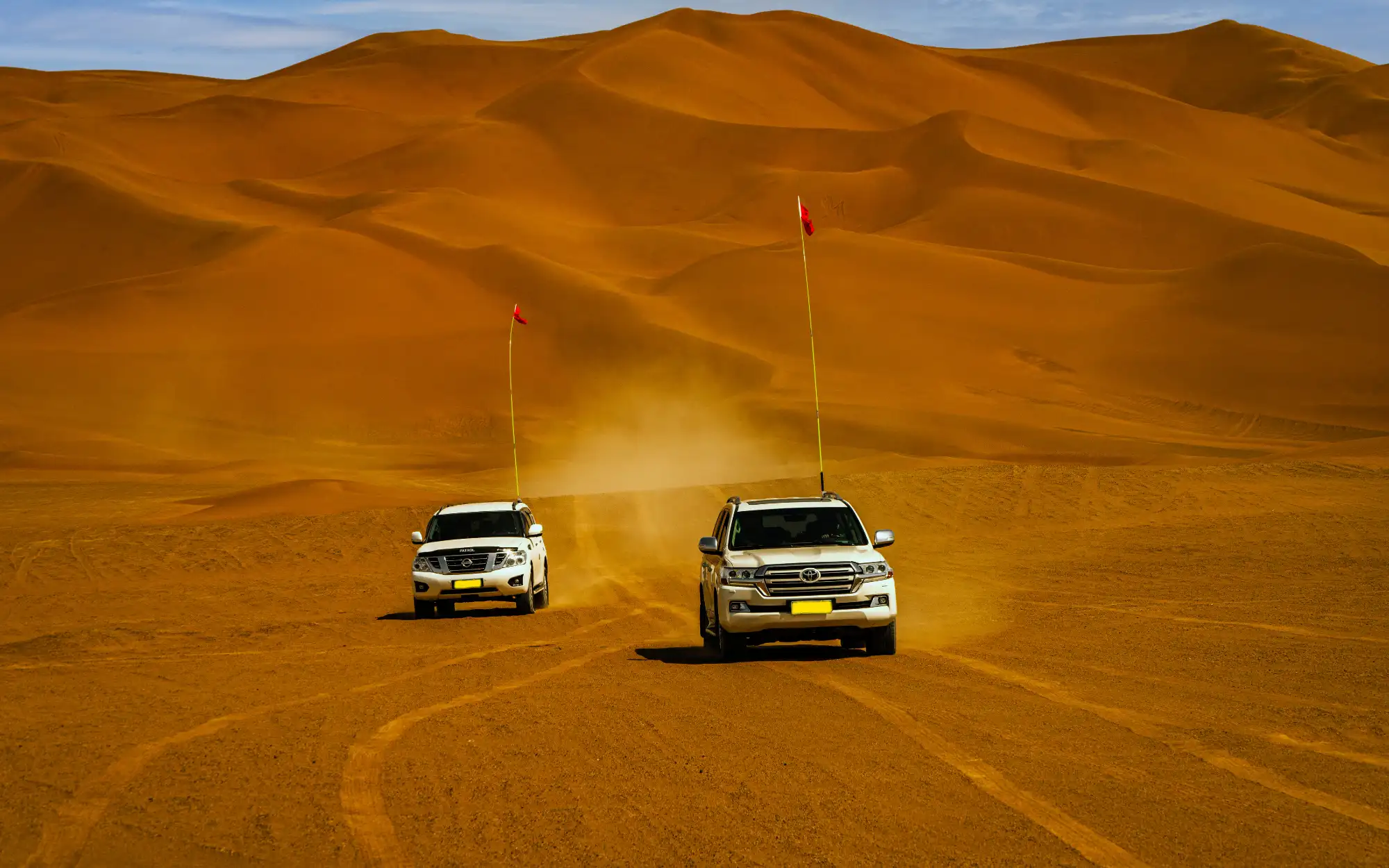 Can You Drive To Desert Safari Yourself?