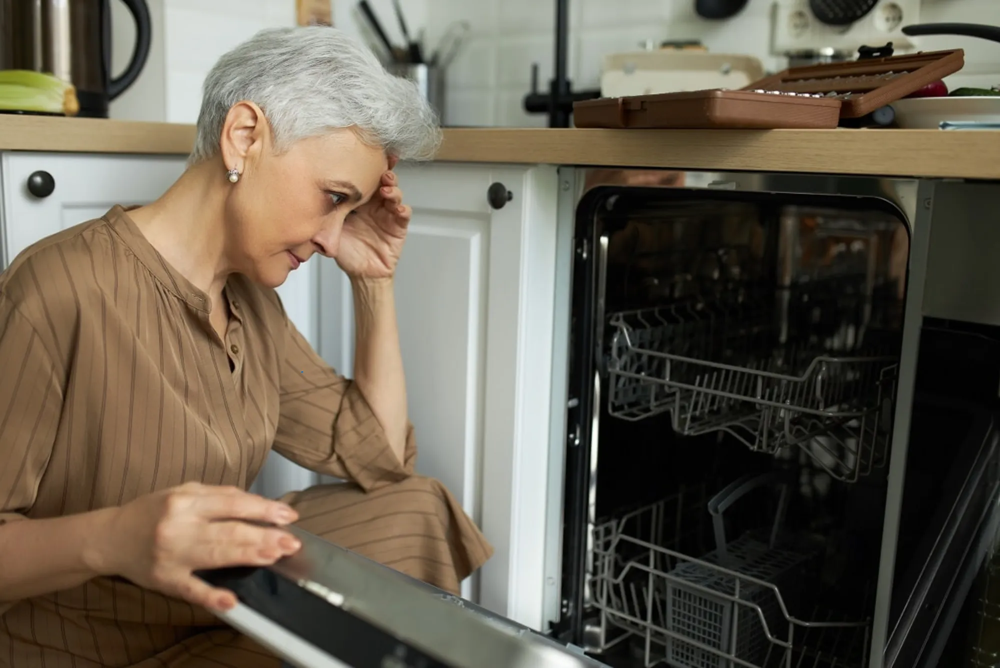 Why Dishwasher Makes Clicking Noise During Cycle