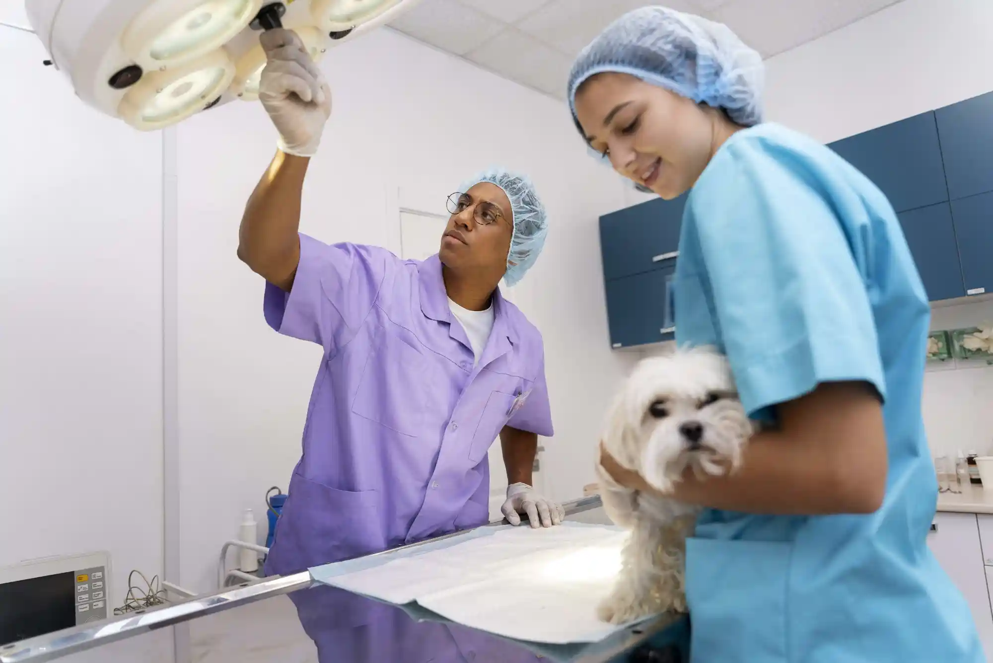Best 24/7 Emergency Veterinary Hospitals and Animal Clinics in Dubai